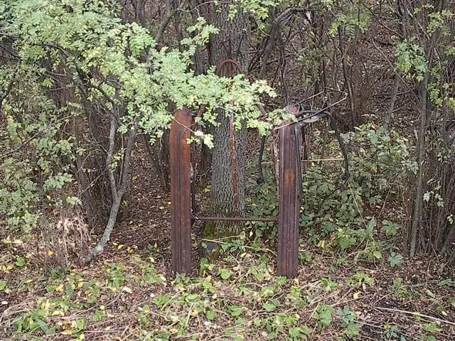 Old rusted sled runners by a tree
